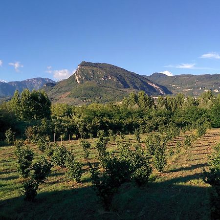 La Luna Nel Fiume Giffoni Valle Piana Eksteriør bilde