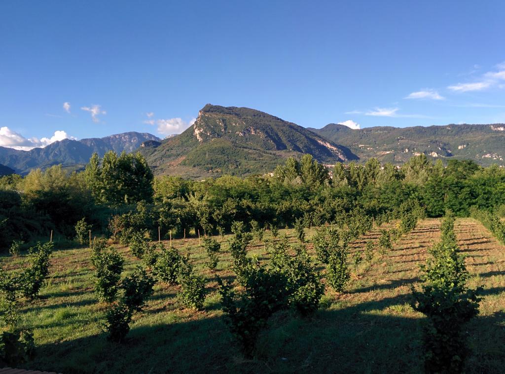 La Luna Nel Fiume Giffoni Valle Piana Eksteriør bilde